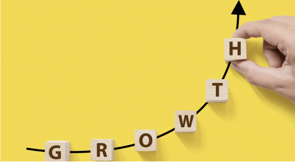 growth strategy